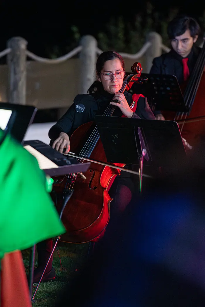 Fotografía 40 del concierto