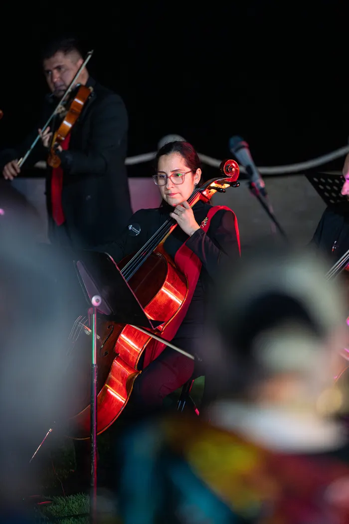 Fotografía 43 del concierto