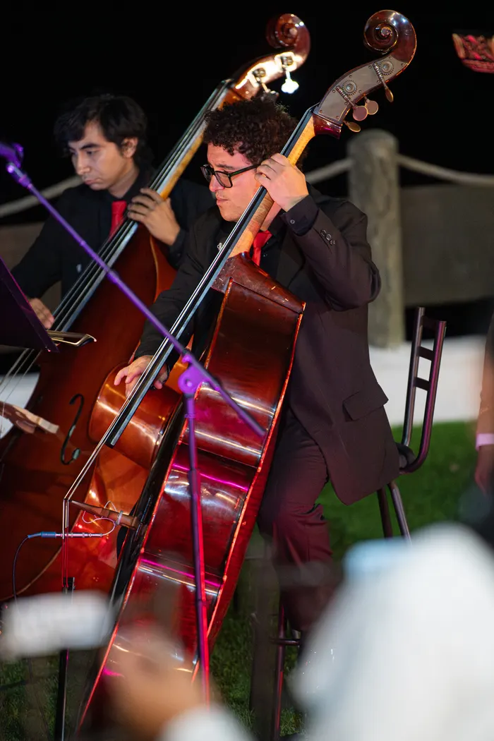 Fotografía 53 del concierto