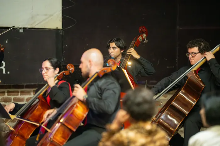 Fotografía 10 del concierto