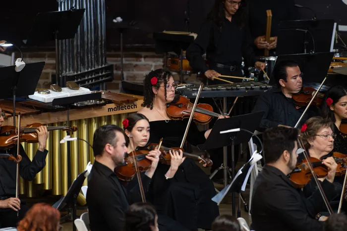 Fotografía 28 del concierto