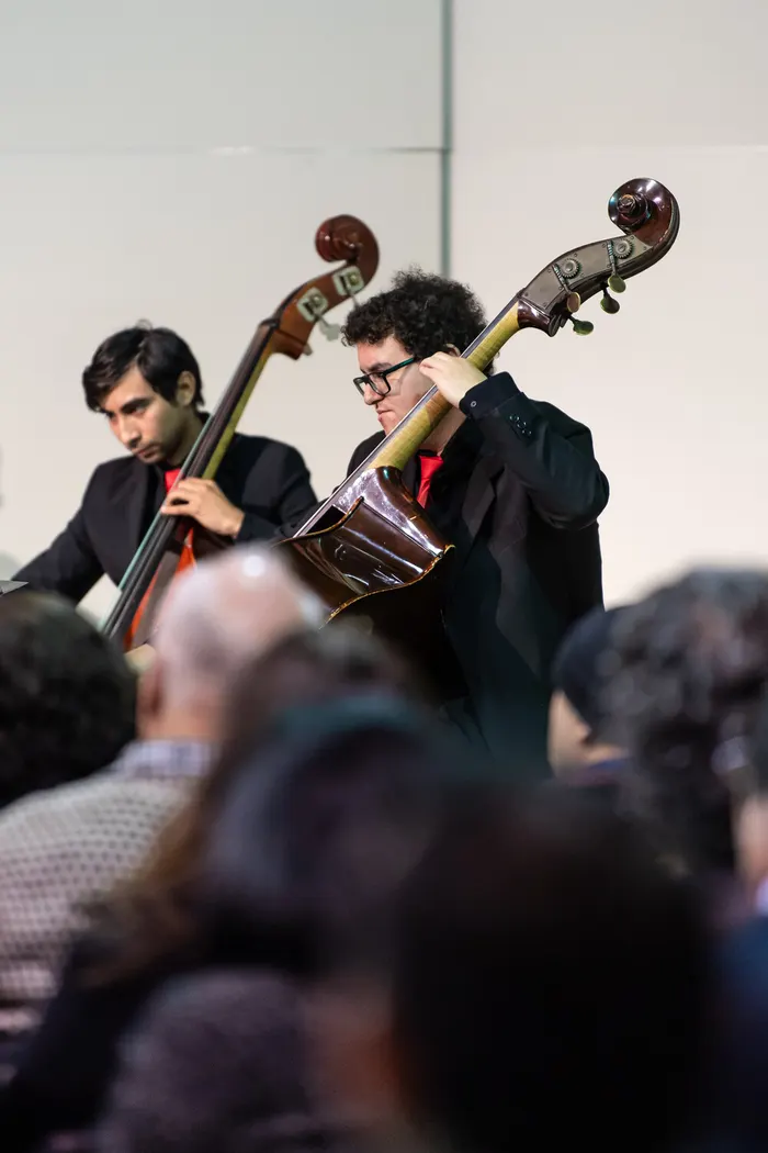 Fotografía 4 del concierto